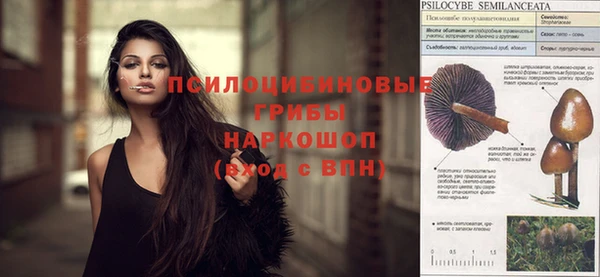 бошки Алексеевка